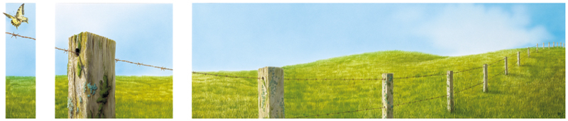 Grenzenlose Freiheit Cigler .jpg